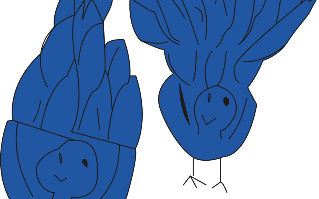 Aves